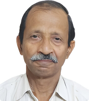 Shri. Deepak V. Sanglikar